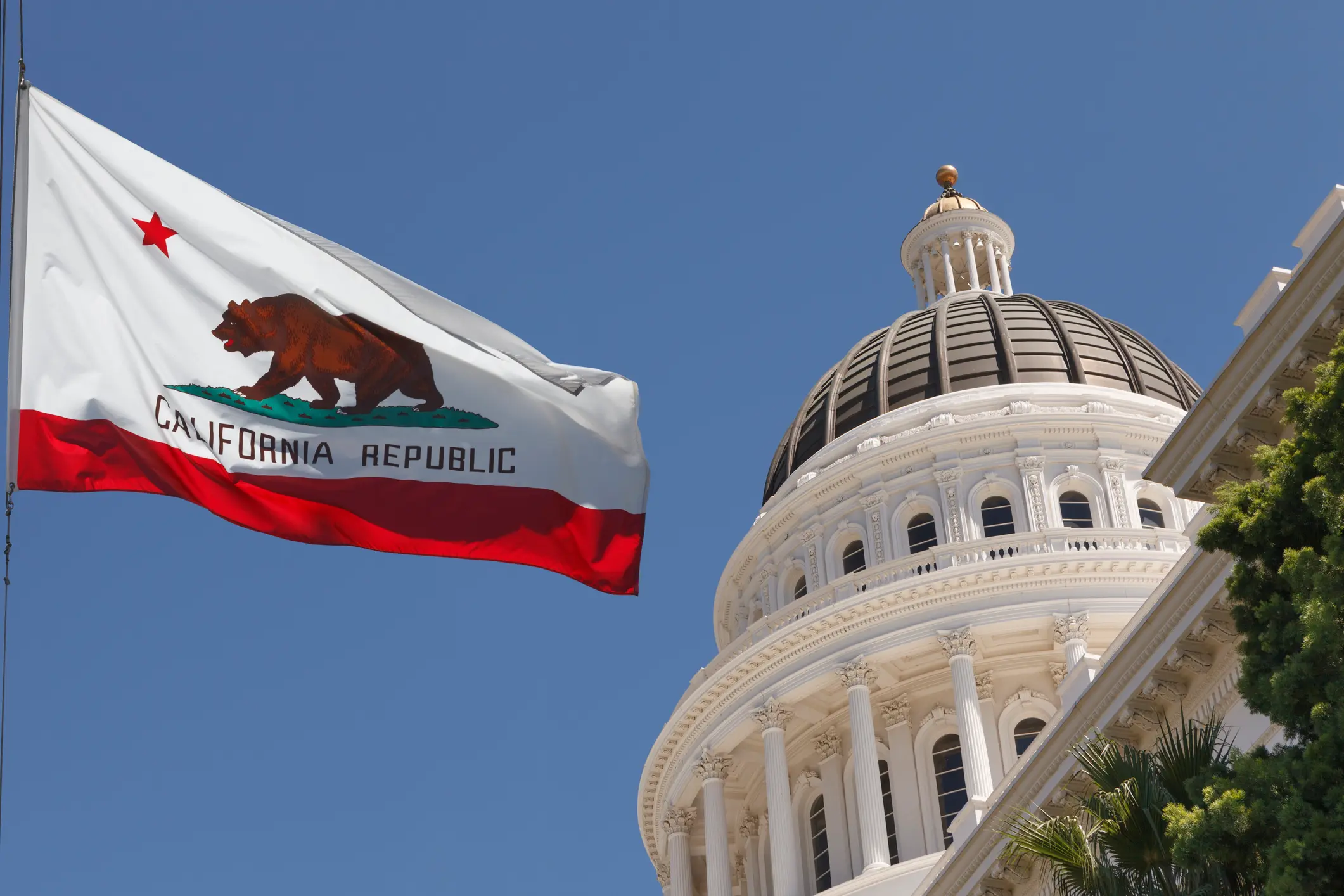スタンダードカルフォルニア　フラッグ　国旗 カリフォルニア 国旗 写真 California republic flag の2092点の